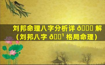 刘邦命理八字分析详 🐘 解（刘邦八字 🌹 格局命理）